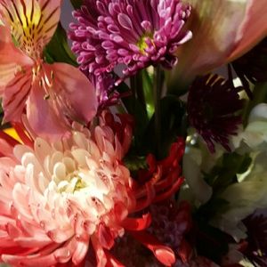 Meet your Posher, Dee