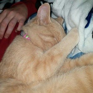 Meet your Posher, Amanda