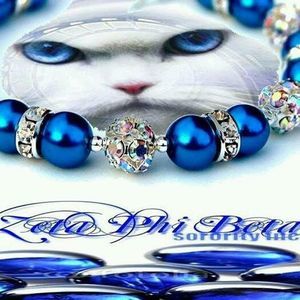 Meet your Posher, Toby