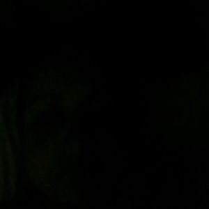 Meet your Posher, Helen