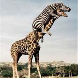 Meet your Posher, Danny