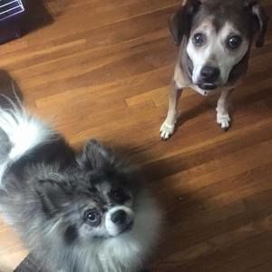 Meet your Posher, Alicia