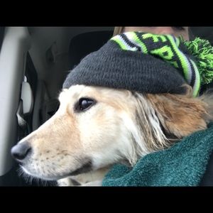 Meet your Posher, Ahlemeyer