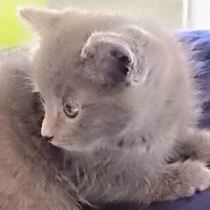 Meet your Posher, Bobbiejo