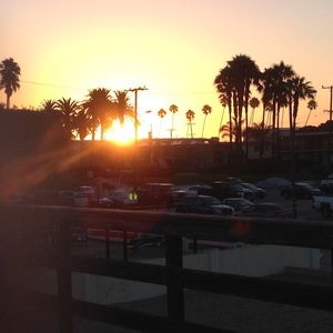 Meet your Posher, Tyson