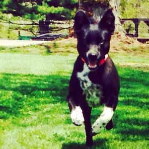 Meet your Posher, Hayley