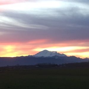 Meet your Posher, Josh