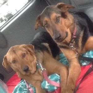 Meet your Posher, Justine