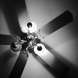 Meet your Posher, Kortney