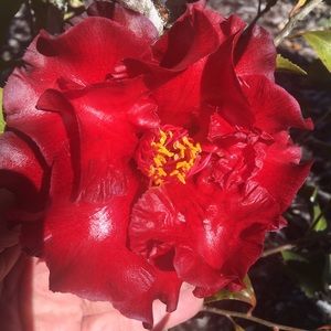 Meet your Posher, Kerem