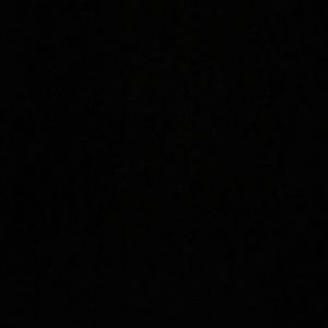 Meet your Posher, Dania