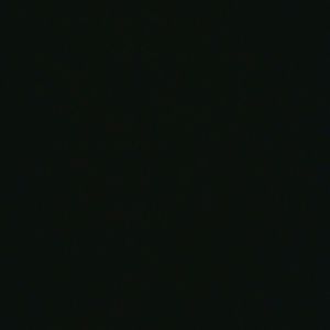 Meet your Posher, Wanda