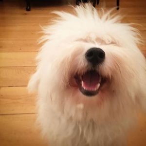 Meet your Posher, Tim