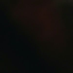 Meet your Posher, Laerica