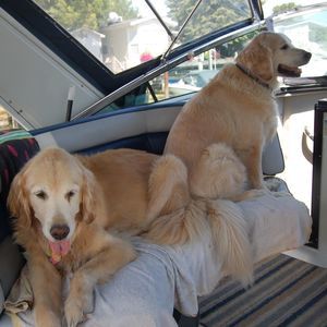 Meet your Posher, Joanne-doug