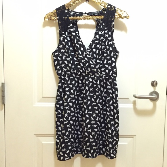 Cat / kitten dress
