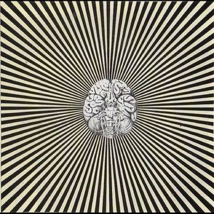 Meet your Posher, Kash