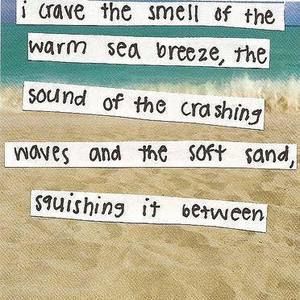 Meet your Posher, Pattie