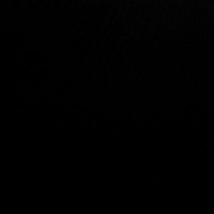 Meet your Posher, Antoinette