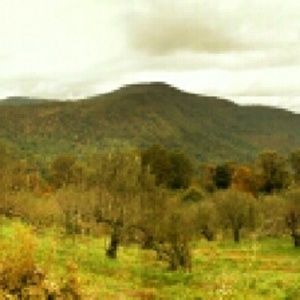 Meet your Posher, Cathy