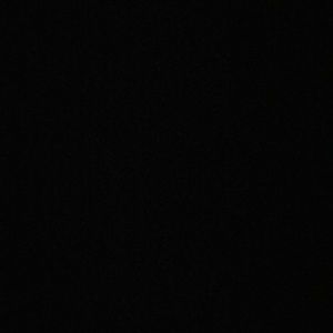 Meet your Posher, Ally