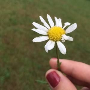 Meet your Posher, Katelyn