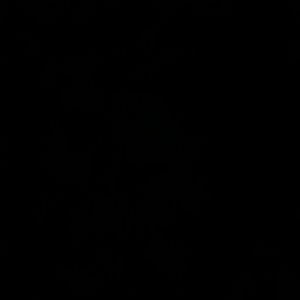 Meet your Posher, Kasey