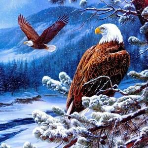 Meet your Posher, Chavez