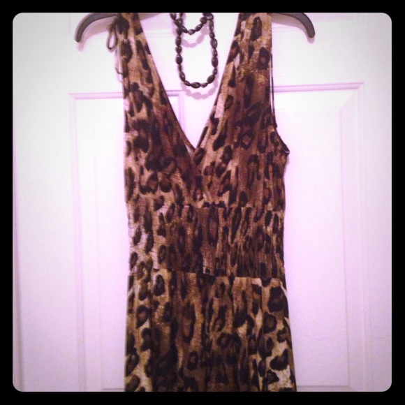 NWT GORGEOUS DRESS