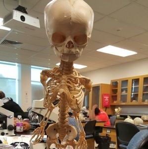 Meet your Posher, Zjeku