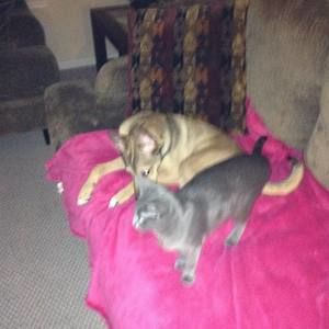 Meet your Posher, Deanna