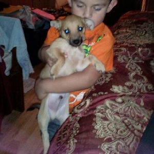 Meet your Posher, Maria