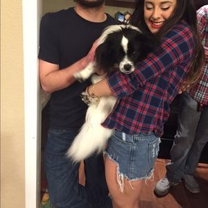 Meet your Posher, Brooke