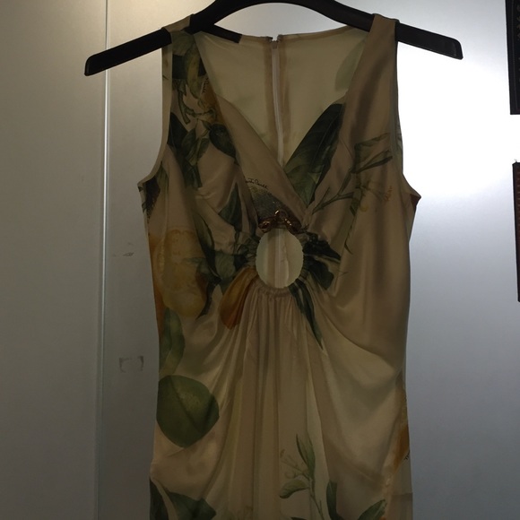 Roberto Cavalli evening gown