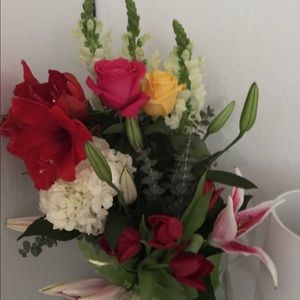 Meet your Posher, Elena