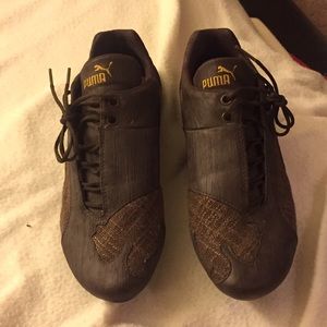 Brown Puma