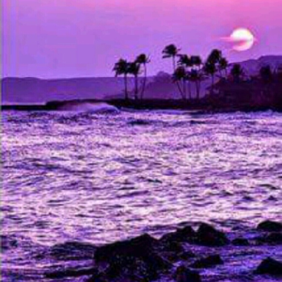 Meet your Posher, Kelly - Picture 1 of 1