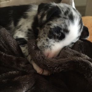 Meet your Posher, Ashley