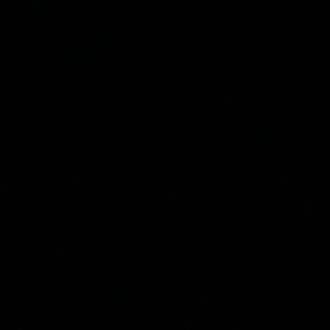 Meet your Posher, Llarely