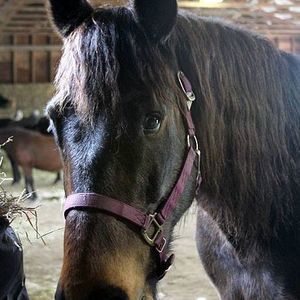 Meet your Posher, Stacy