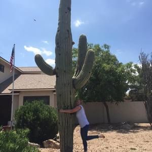 Meet your Posher, Courtney