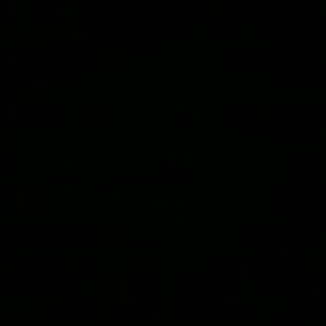 Meet your Posher, Tori