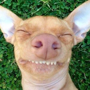 Meet your Posher, Maranda