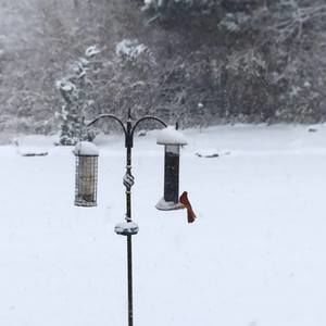 Meet your Posher, Meredith