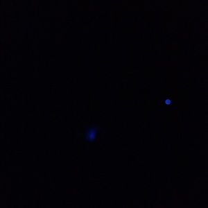 Meet your Posher, Jacqueline