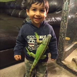 Meet your Posher, Vicky