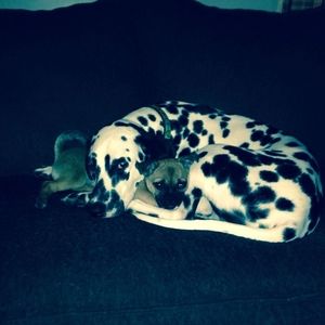 Meet your Posher, Georgette