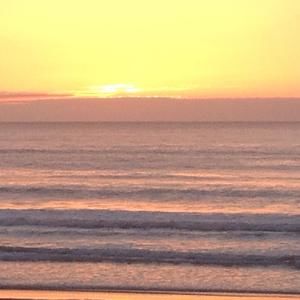 Meet your Posher, Bridgett