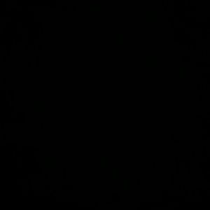 Meet your Posher, Lisaida