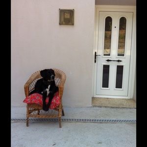 Meet your Posher, Emma